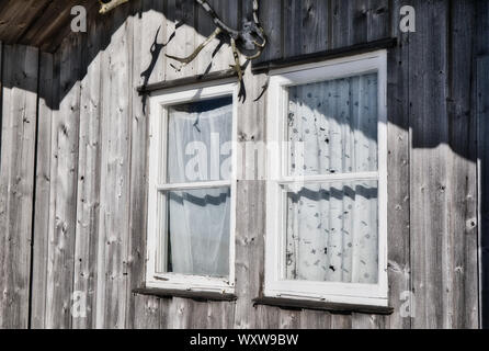 Geweih angebracht von rustikalen Holzmöbeln Sommer Kabine mit Vorhang Fenster, Sandhamn nach Außen, Stockholmer Schären, Schweden Stockfoto