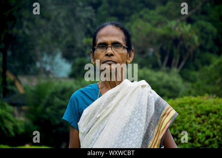 Porträt der alten Dame tragen weiße traditionelle indische Sari, blaue Bluse, Brillen, goldene Ringe wandern in Lady hydari Park shillong an einem sonnigen Stockfoto