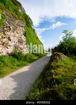 Suchen South West entlang der Prestatyn - Dyserth, ein Fußweg und Radweg über dem Bett des stillgelegten Prestatyn und Dyserth Bahnstrecke. Stockfoto