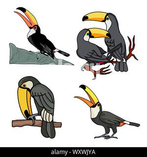 Exotische Vögel toucan. Hand gezeichnet Toucan auf weißem Hintergrund. Vektor einrichten von tropischen Vögeln isoliert auf Weiss. Jungle tropische Vögel schwarze Farbe. Konzept Stock Vektor