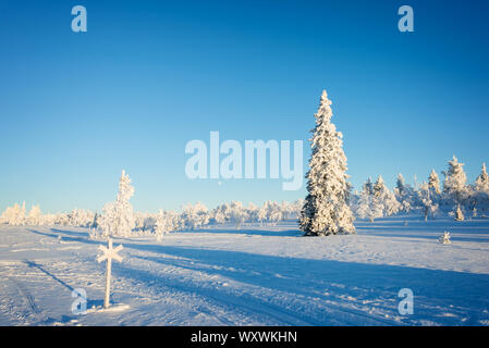 Verschneite Landschaft, gefrorene Bäume im Winter in Saariselka, Lappland, Finnland Stockfoto