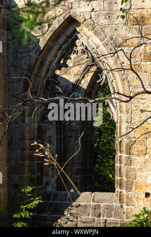 Fenster in die Ruinen der Klosterkirche am Berg Oybin Sachsen / Deutschland Stockfoto