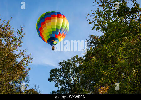 Mit Ballon, durch die herbstlichen Bäume vor blauem Himmel gerahmt Stockfoto