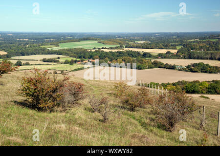 Blick über Hampshire Ackerland Landschaft von oben von Beacon Hill, Burghclere, Hampshire, England, Vereinigtes Königreich, Europa Stockfoto