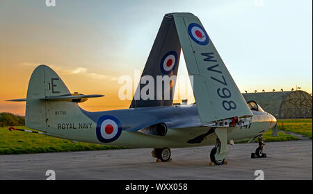 Royal Navy Sea Hawk WV 798 zu einem nightshoot in Cornwall Aviation Heritage Centre Stockfoto