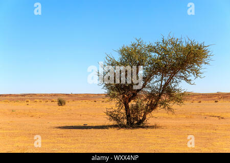 Schönen marokkanischen Berglandschaft mit Akazie im Vordergrund Stockfoto