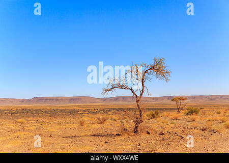 Schönen marokkanischen Berglandschaft mit Akazie im Vordergrund Stockfoto