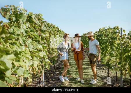Gruppe von jungen Freunden heraus zusammen hängen auf dem Weinberg an einem sonnigen Morgen Stockfoto