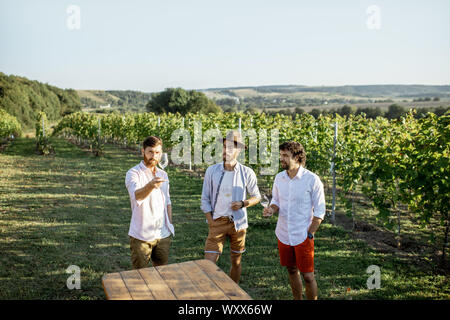 Drei Jungs gekleidet beiläufig Verkostung Wein und Zeit miteinander zu verbringen auf dem Weinberg an einem sonnigen Sommermorgen Stockfoto