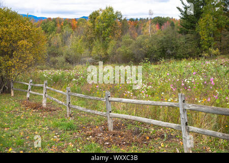 Wildblumen und rustikalen hölzernen Zaun in ländlichen Szene in der Nähe von Kelso in Vermont, New England, USA Stockfoto
