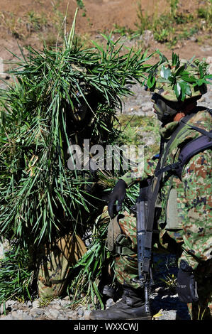 Yamoto, Japan. 17 Sep, 2019. Sniper team von Japan Masse Verteidigung-kraft nehmen Sie Teil an den gemeinsamen militärischen Übung "Orient Shield 2019 'Oyanohara Training Area in Kumamoto, Japan am 17. September 2019. Credit: Geisler-Fotopress GmbH/Alamy leben Nachrichten Stockfoto