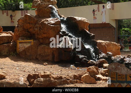 Safari in Israel. Stockfoto