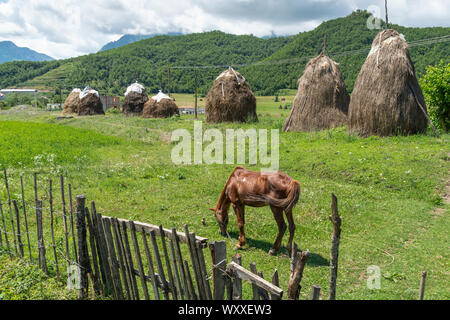 Traditionelle stooks, Heuballen, in der Nähe von Burrel in Dibër County, zentrale Albanien, Stockfoto