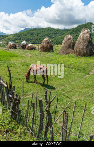 Traditionelle stooks, Heuballen, in der Nähe von Burrel in Dibër County, zentrale Albanien, Stockfoto