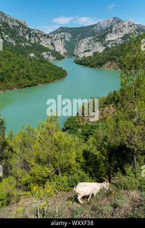 Blick über die Matte Fluss im Regionalen Naturpark Ulza, an der Grenze von Dibër und Lezhe countiies, zentrale Albanien, Stockfoto