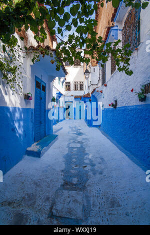 Chefchaouen, oder Chaouen, ist eine Stadt im Nordwesten das Rif-Gebirge in Marokko. Es ist für die Markanten, blau getünchten Gebäude der Altstadt bekannt. Stockfoto