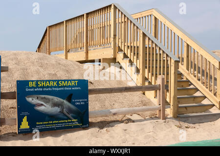 Shark Warnschild Geschrieben am Strand Eingang in Truro, Massachusetts. Stockfoto