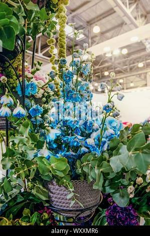 Bouquet von blauen Delphinien grünen und weißen Hortensien und grünen Orchideen. Moderne Trends in der Blumenzucht. Dekoration von Wohnräumen mit Stockfoto