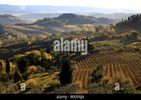 Licht auf die toskanische Landschaft, von einer Terrasse in San Gimignano (Italien) auf einem herbstmorgen gesehen. Zypressen, Weinberge, Hügel ... Stockfoto