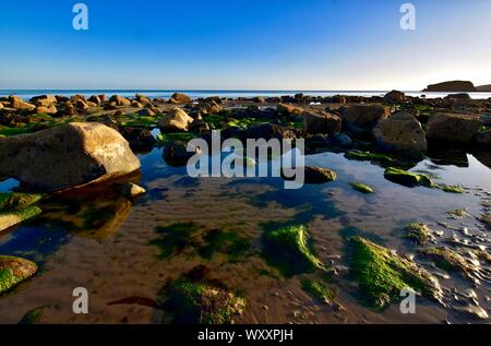 Ebbe in Porth Ysgo Strand am frühen Abend. Stockfoto