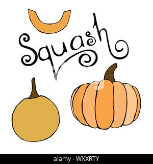Vektor Hand gezeichnet orange Kürbisse und Squash Schriftzug Text. Skizze der Garten Gemüse in verschiedenen Größen und Kürbis Schriftzug. Doodle isoliert Stock Vektor