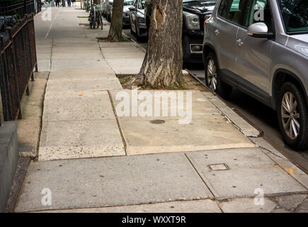 Baum Gruben im New Yorker Stadtteil Chelsea am Dienstag, 10. September 2019. New York City Bürgermeister Bill De Blasio hat heute bekannt gegeben, dass die Stadt wird jetzt die Verantwortung für Reparaturen, wenn eine Straße Baum die umliegenden Bürgersteig. Zuvor, Eigenheimbesitzer und Vermieter wurden verurteilt, wenn eine der Wurzeln der Bäume der Stadt verursachten Schadens und der Hausbesitzer hatte die Kosten für die Reparatur zu tragen. (© Richard B. Levine) Stockfoto