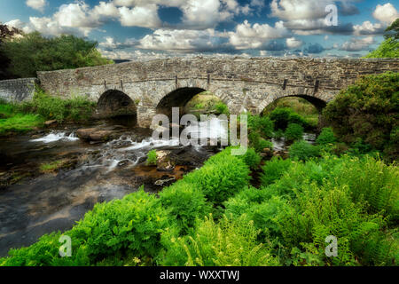 Packesel Brücke über Neben Postbridge. Dartmoor National Park, England Stockfoto