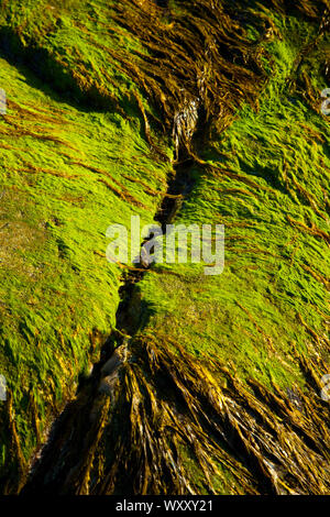 Playa Mol Foirs Geòdha Strand. Mealasta. Südwesten Lewis Insel. Die äußeren Hebriden. Schottland, Großbritannien Stockfoto