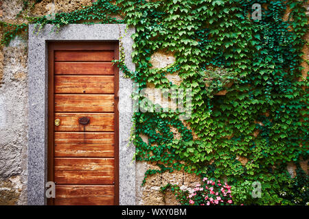 Eine alte hölzerne Tür eines alten Steinhaus mit Wände bedeckt mit grünem Efeu und Kletterpflanzen in Italien Stockfoto