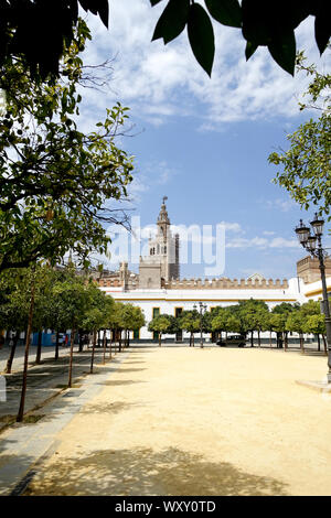 El Real Alcazar, Sevilla, Spanien Stockfoto