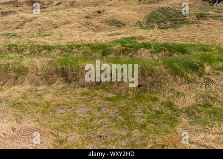 BUOARDALUR, ISLAND - Ancient House Website von Eiriksstadir, Viking Langhaus, an Eric der Rote Homestead. Stockfoto