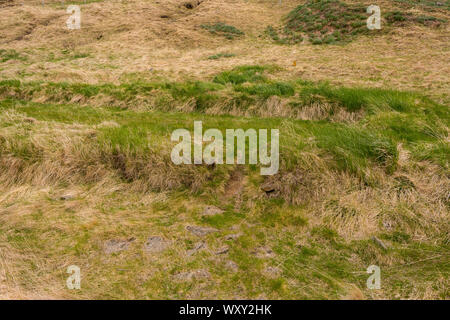 BUOARDALUR, ISLAND - Ancient House Website von Eiriksstadir, Viking Langhaus, an Eric der Rote Homestead. Stockfoto