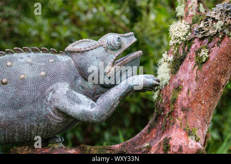 Gecko Skulptur an Attadale Gärten, Wester Ross, Highlands von Schottland Stockfoto