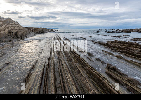 Flysch, itzurun Strand, eine Sequenz von Sedimentgestein Schichten, Zumaia, Baskenland, Spanien Stockfoto