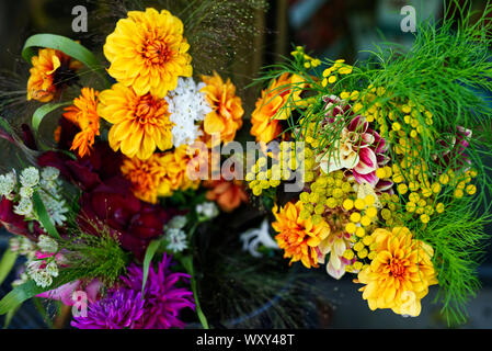 Schnittblumen auf dem Display und zum Verkauf Stockfoto