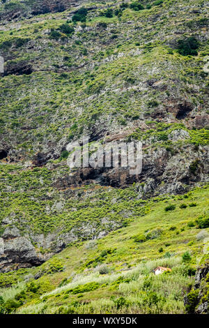 Das Kleine Haus des Berges in Madeira Stockfoto