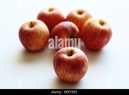 Cameo Äpfel auf weißem Hintergrund Stockfoto