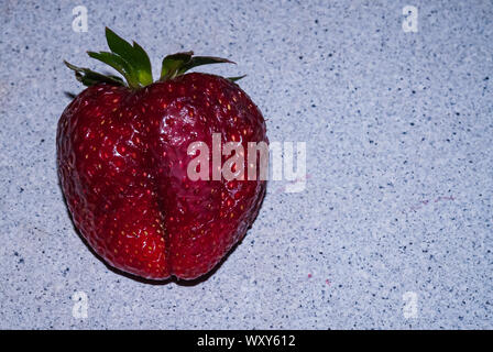 Schöne Erdbeere auf grauem Hintergrund isoliert, Nahaufnahme, Makro. Stockfoto