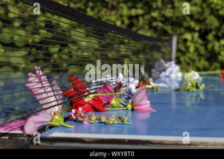 Farbe Bild von einem blauen Tischtennisplatten und net mit Blumen nach einem Regen Sturm gestreut Stockfoto