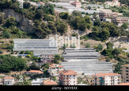 Zeilen von Gewächshäusern, einige mit Sonnenkollektoren bedeckt, auf dem Hügel oberhalb von Ventimiglia, Ligurien, Italien, Europa Stockfoto