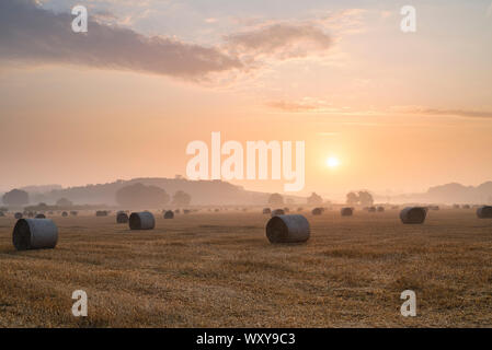 Runde Strohballen in einem Feld durch Bäume in der Grafschaft Oxfordshire, England Stockfoto