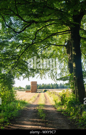 Strohballen in einem Feld durch Bäume in die Landschaft von Cotswold. Cotswolds, Gloucestershire, England Stockfoto