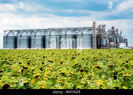 Anzeigen von Sonnenblumenöl. Fabrik für die Verarbeitung von Öl. Essen der industriellen Produktion. Stockfoto