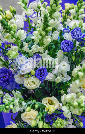 Schönes Bouquet von weiß, blau und zweifarbig eustoma close-up. Selektiver Fokus, Sorten von moderner Auswahl Stockfoto