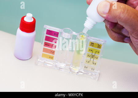 Set mit Ph Chlor und Brom testen. Close-up auf dem Test Zone für Chlor und Brom Stockfoto