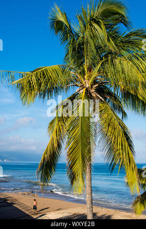 Playa Los Muertos Beach, Puerto Vallarta, Jalisco, Mexiko. Stockfoto