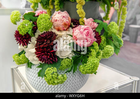 Bouquet von Dahlien schöne lila, grüne und weiße Hortensien und grüne Orchideen. Moderne Trends in der Blumenzucht. Dekoration von Wohnräumen Stockfoto