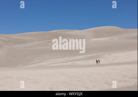 Wanderer Wandern in den Dünen am Great Sand Dunes National Park im Sommer in Colorado. Stockfoto