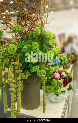 Hohes Bouquet von Amaranth und Hortensien Farbe UFO Green, mit Ästen von exotischen Reben verziert. Neuheiten der modernen Auswahl an Gartenpflanzen Stockfoto