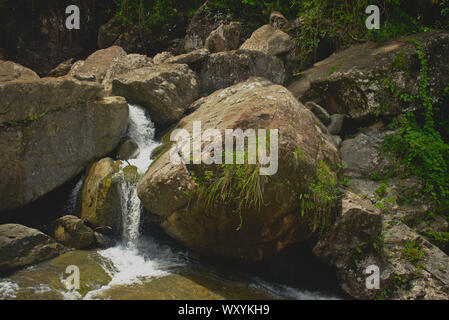 El Yunque West Side, Rio Grande PR Stockfoto